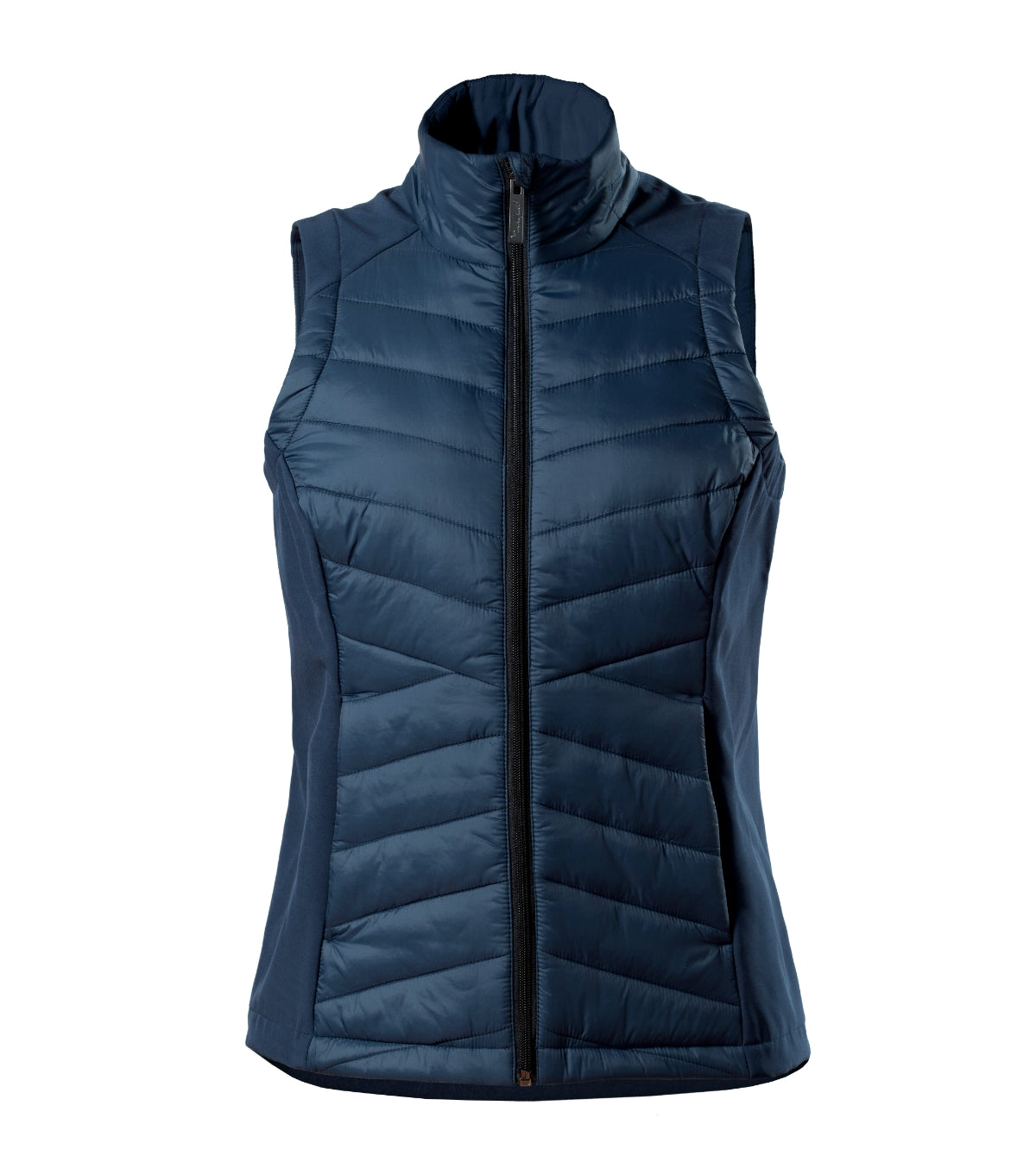 JACHETA DAMA CROSS 558