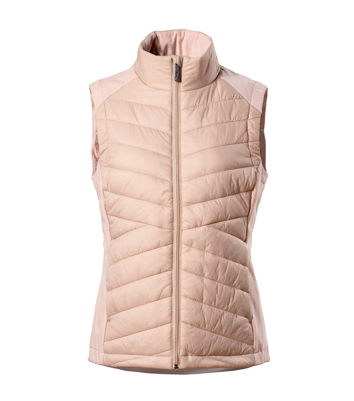 JACHETA DAMA CROSS 558