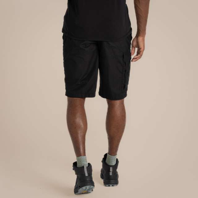 EXPERT KIWI LONG SHORT