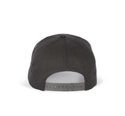 SAPCA FIRST - 5 PANELS