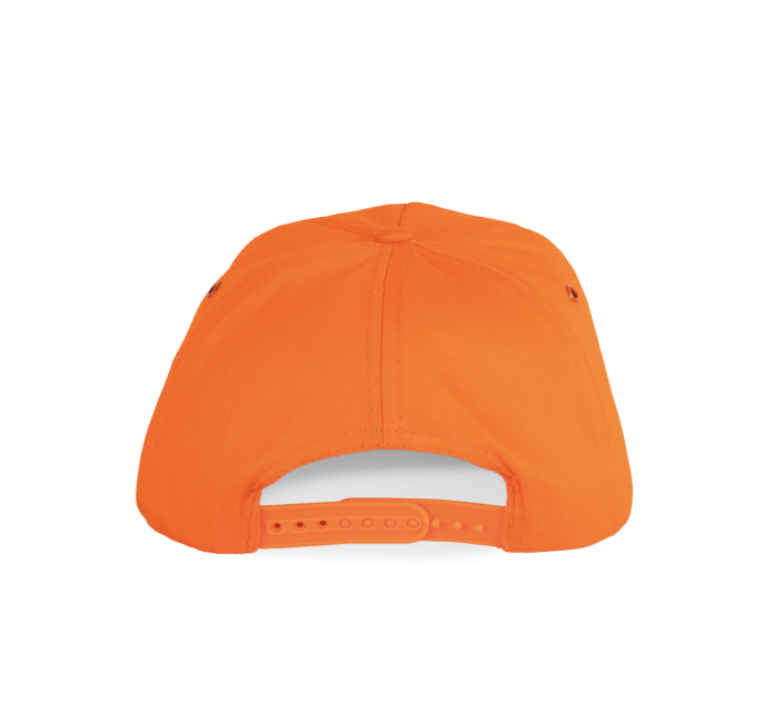 SAPCA FIRST - 5 PANELS