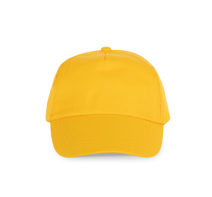 SAPCA FIRST - 5 PANELS
