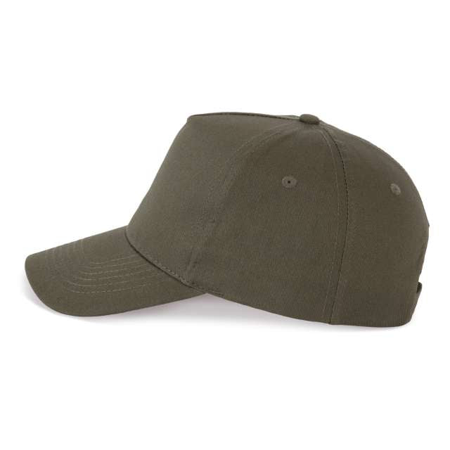 SAPCA ACTION II - 5 PANELS