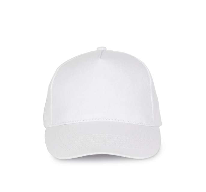 SAPCA ACTION II - 5 PANELS