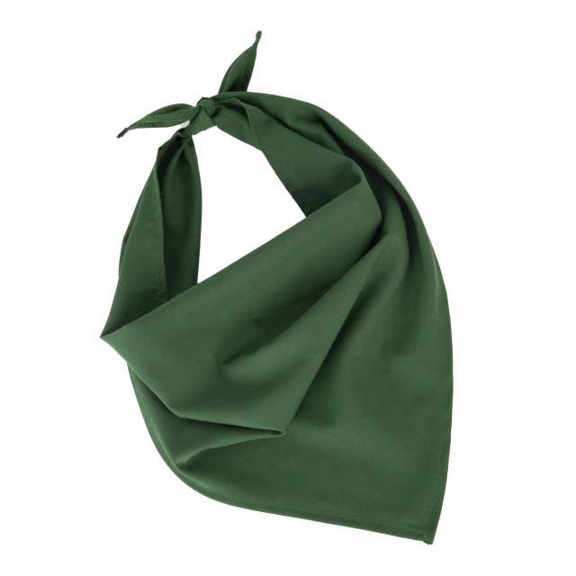 FIESTA - BANDANA