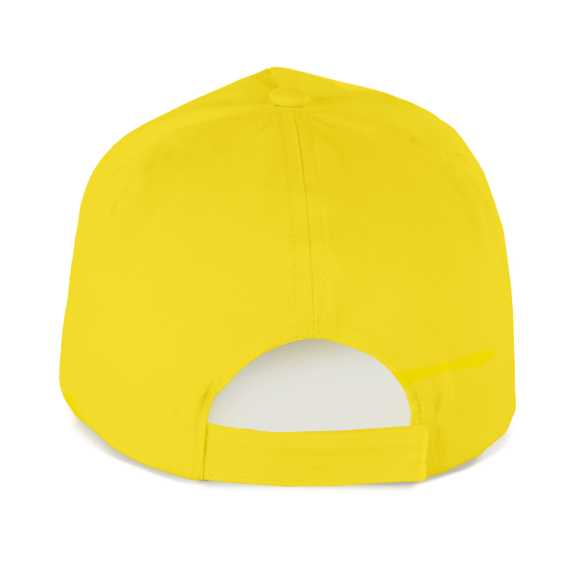 SAPCA 5 PANELS