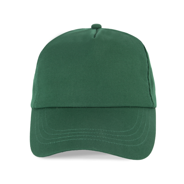 SAPCA 5 PANELS
