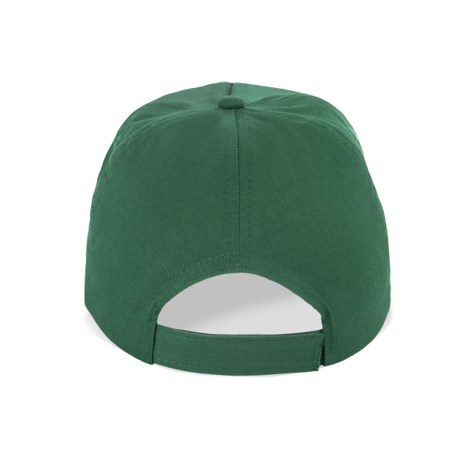 SAPCA 5 PANELS