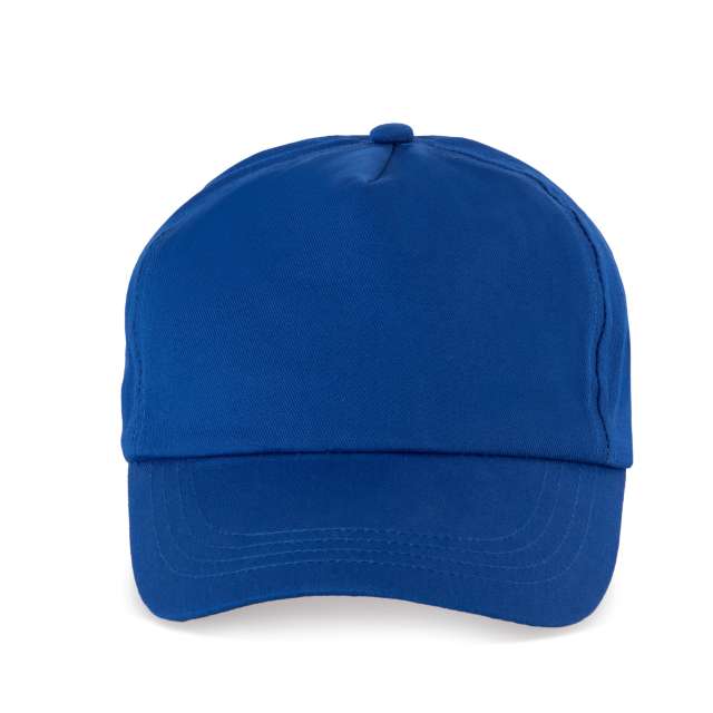 SAPCA 5 PANELS