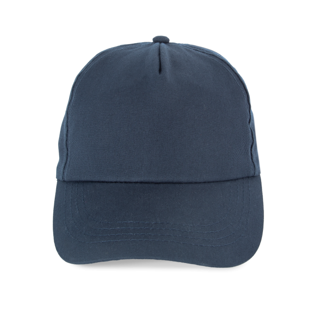 SAPCA 5 PANELS
