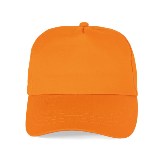 SAPCA 5 PANELS