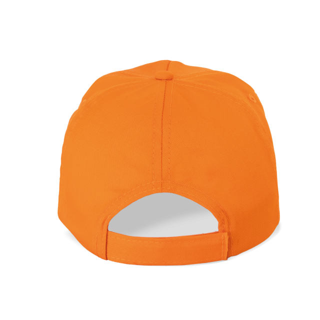 SAPCA 5 PANELS