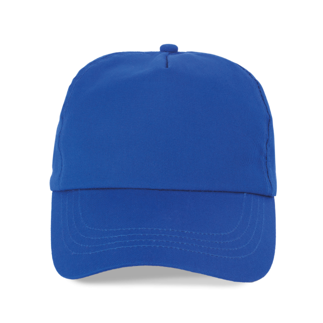 SAPCA 5 PANELS