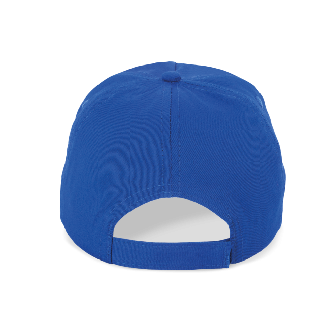 SAPCA 5 PANELS