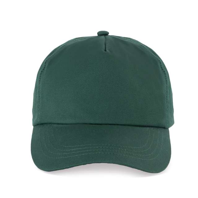 SAPCA 5 PANELS
