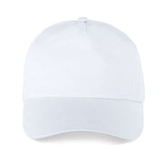 SAPCA 5 PANELS