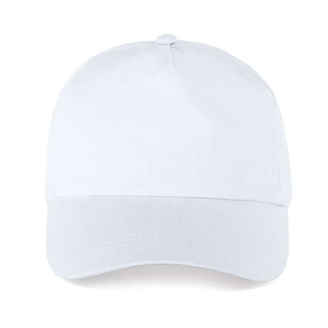 SAPCA 5 PANELS