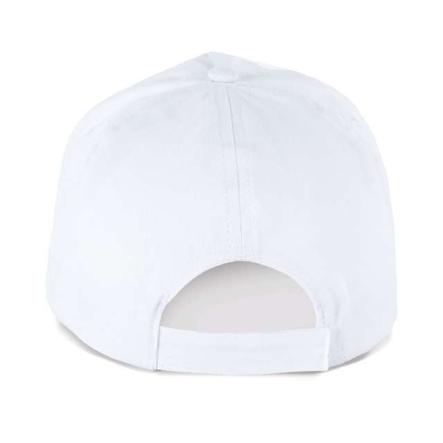 SAPCA 5 PANELS