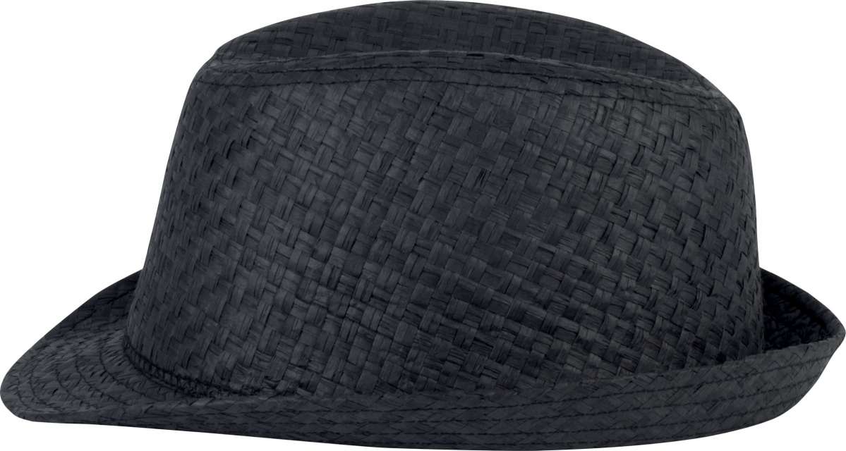 PALARIE RETRO PANAMA - STYLE STRAW