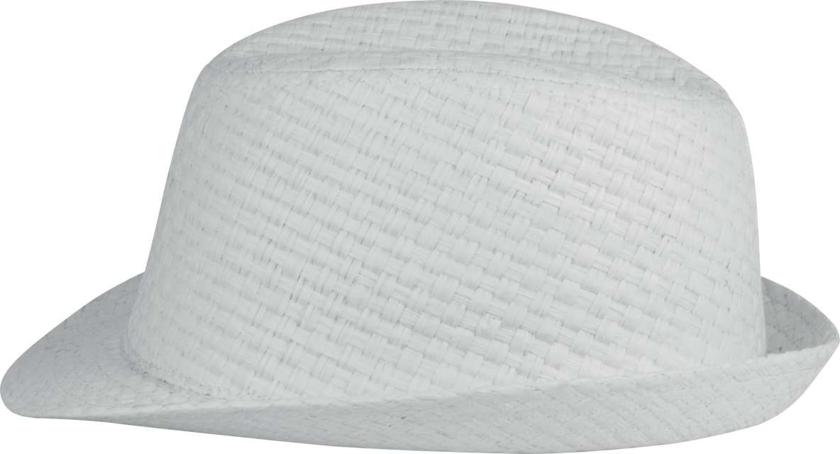 PALARIE RETRO PANAMA - STYLE STRAW