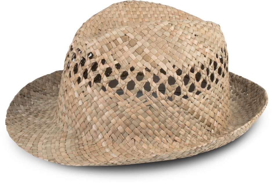 PALARIE BRAIDED PANAMA
