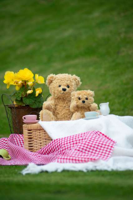 CLASSIC JOINTED TEDDY BEAR