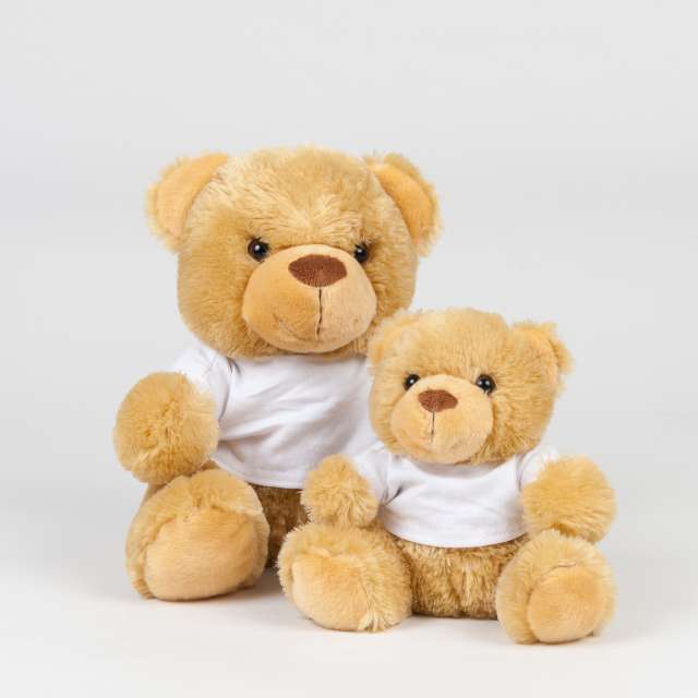 BEAR IN A T-SHIRT