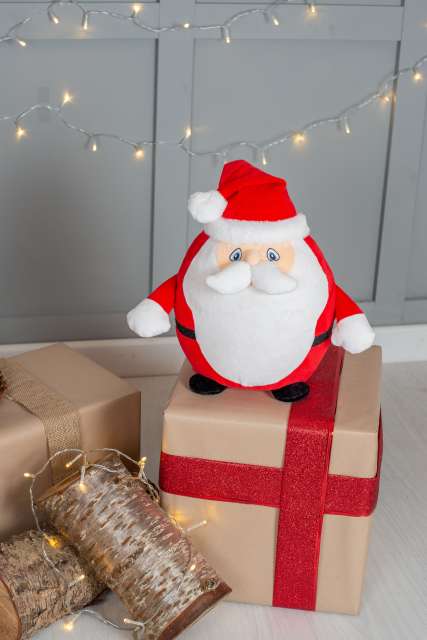 ZIPPIE FATHER CHRISTMAS