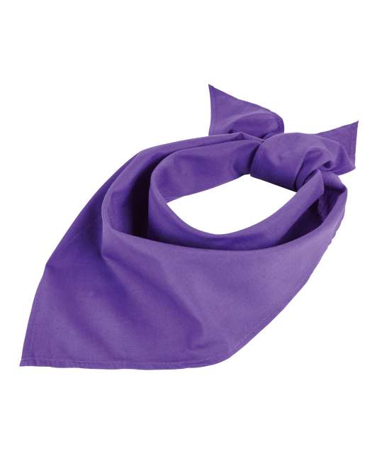 SOL'S BANDANA